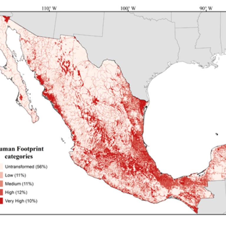 Human Footprint in Mexico - Low resolution