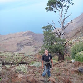 sulaguadalupe.jpg sulaguadalupe.jpg